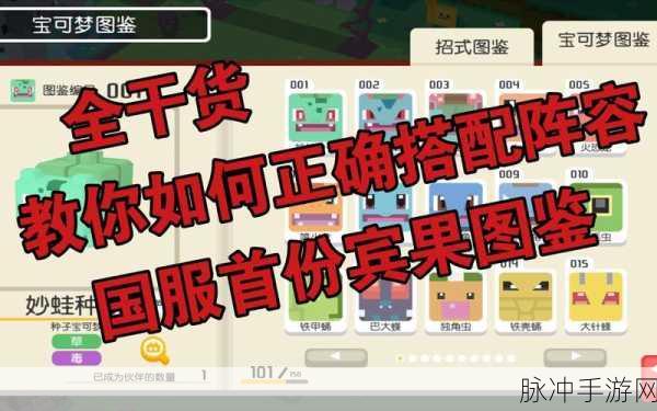 宝可梦大探险，主线阵容搭配秘籍全解析