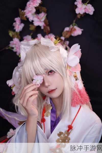 阴阳师悬赏封印，樱花妖刷新地点及攻略全解析，揭秘樱花妖的神秘出现地点