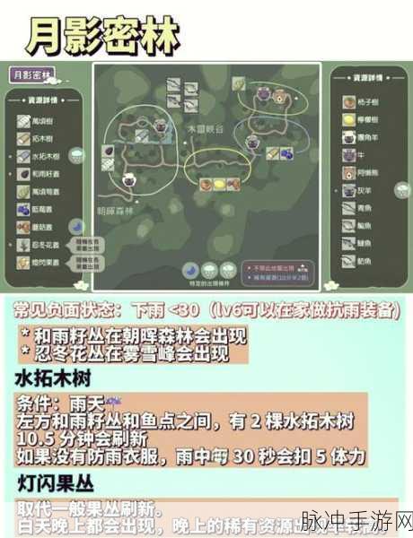 小森生活台服登录疑难全解
