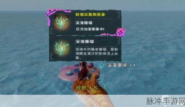 创造与魔法手游攻略，揭秘海底之门进入方法