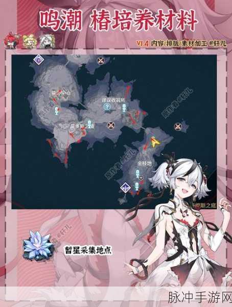 鸣潮椿培养材料全攻略，详细盘点与获取途径