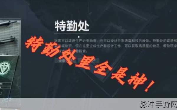 三角洲行动，烽火地带全攻略，掌握战术要点，制霸战场策略详解