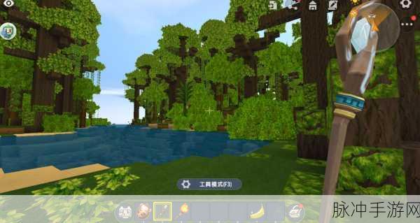 迷你世界雨林场景玩法深度解析,探险、生存与竞技的全方位指南
