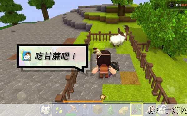迷你世界甘蔗种植指南，从种植到成熟收获的全程步骤详解