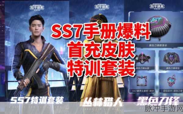 和平精英 SS7 买手册的超值攻略秘籍