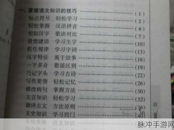 王者荣耀我的音律高分攻略，掌握技巧，轻松刷分