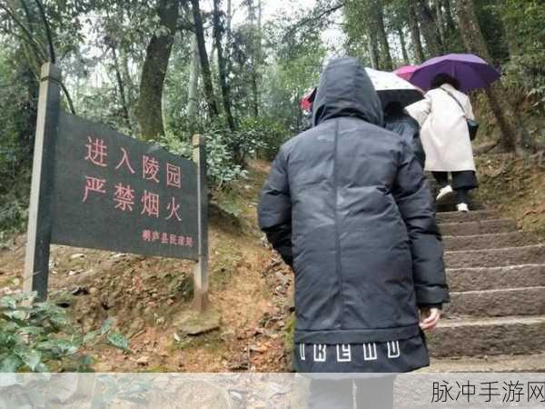 重生细胞陵墓白花位置全解析，探索与攻略指南