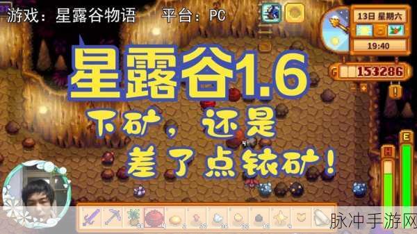 星露谷物语，全面攻略——铱矿石的获取之道