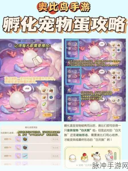 奥比岛手游深度攻略，解锁高级鱼饵的多样途径