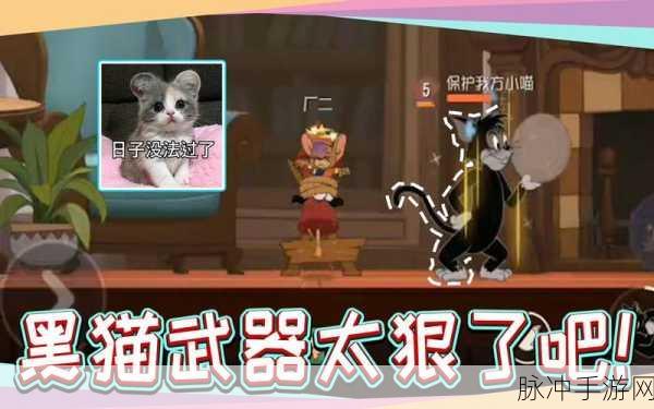 猫和老鼠手游攻略，揭秘黑猫布奇的获取与玩法心得