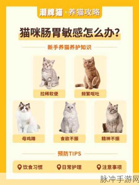 小森生活手游攻略，猫咪快速出毛与撸猫出猫毛球经验详解