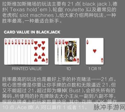 诺亚之心神秘宝藏任务全攻略，揭秘寻宝之旅