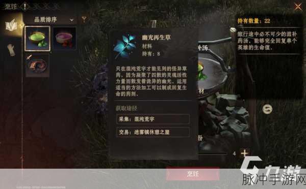 龙息神寂暗队玩法搭配，PVP竞技场制霸策略深度解析