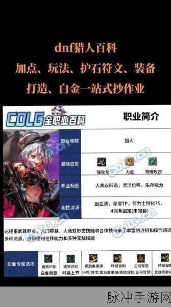 地下城与勇士，猎人与萨满祭司的巅峰对决