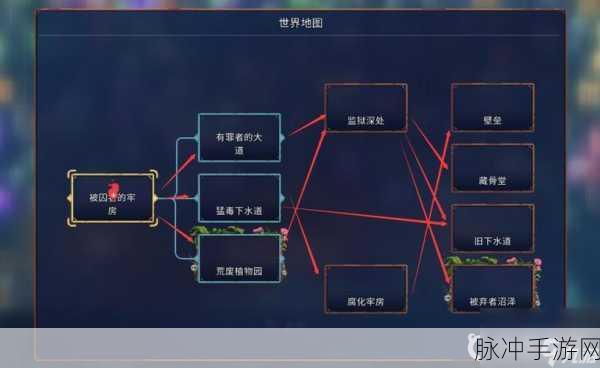 重生细胞守护者居所全攻略，解锁隐藏路线的秘密