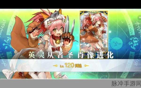 FGO玉藻猫阵容搭配与玩法攻略深度解析
