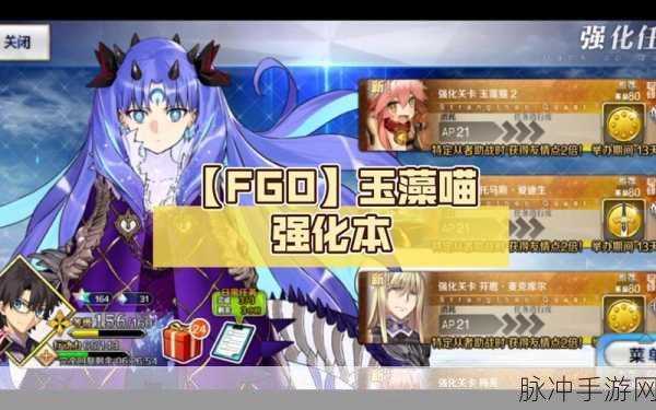 FGO玉藻猫阵容搭配与玩法攻略深度解析