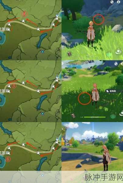 原神蜥蜴尾巴分布全知道，助你轻松收集