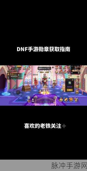 DNF 手游，华丽徽章镶嵌部位的深度剖析秘籍