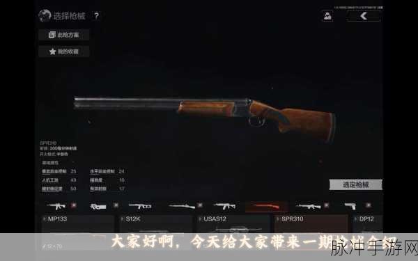 暗区突围，探寻能装最多镭射炮的枪之奥秘