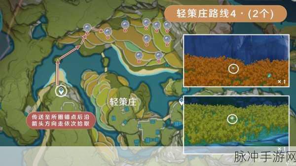 原神，化种匣使用全攻略指南