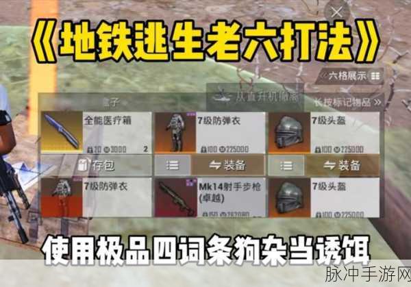 和平精英老六套装获取全攻略