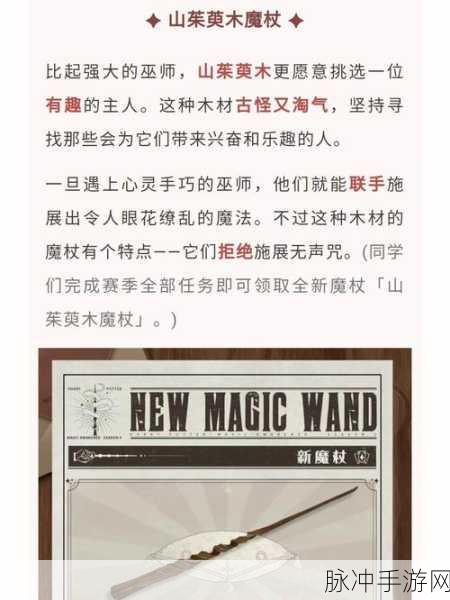 哈利波特，魔法觉醒 魔杖获取秘籍大公开