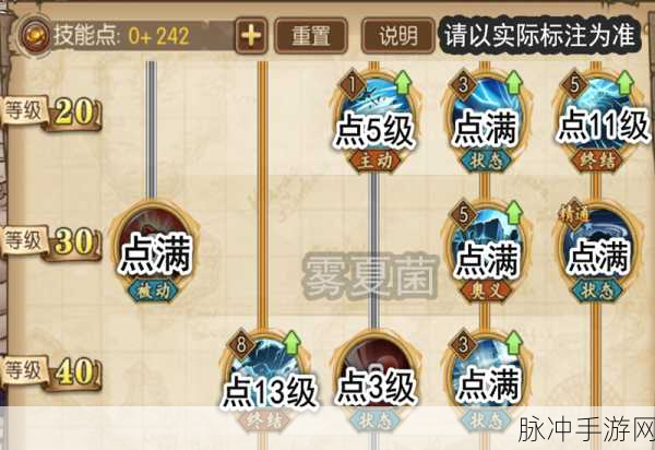 航海王燃烧意志，黄金钥匙的终极攻略与详细介绍