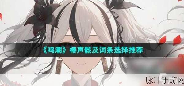 鸣潮手游攻略，深度解析椿的声骸选择策略