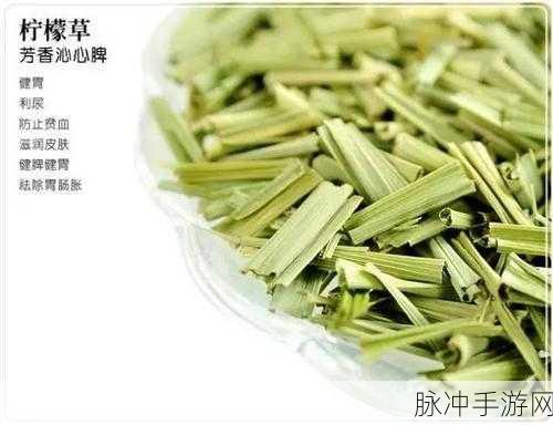 创造与魔法，香茅与柠檬的获取秘籍