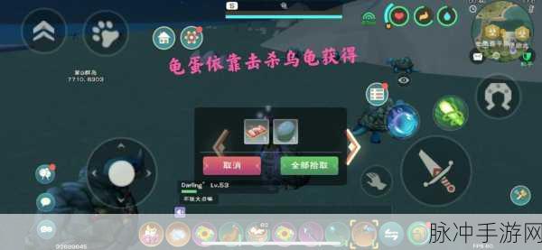 创造与魔法乌龟驯服秘籍大公开