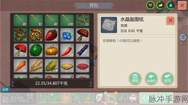 创造与魔法乌龟驯服秘籍大公开
