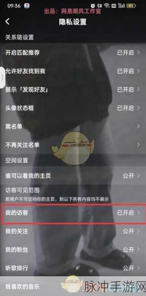 手游玩家必看，全面解析如何删除访客记录