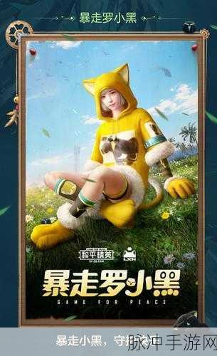 和平精英罗小黑m416枪械皮肤深度解析，可升级吗？