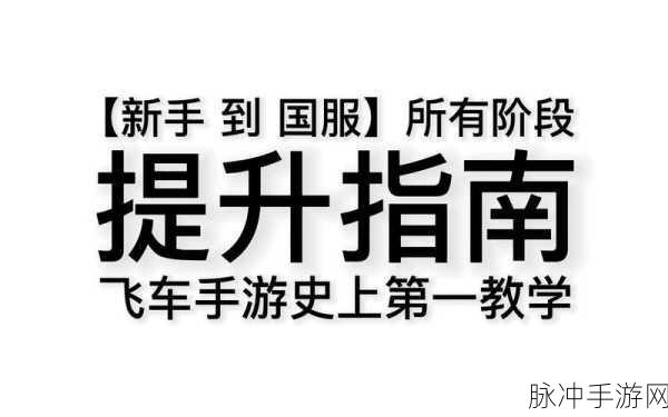 河源个人社保缴费流程全攻略，手游玩家的贴心指南