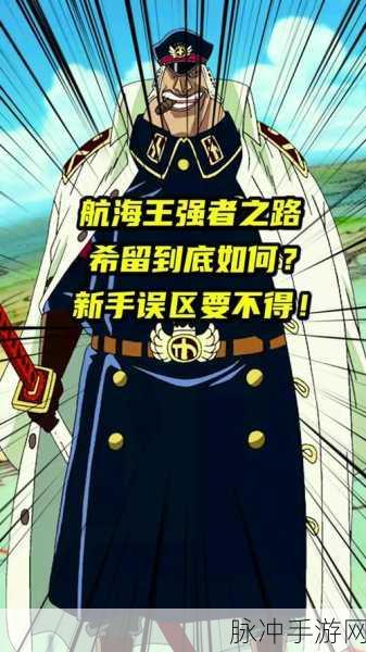 深入解析航海王强者之路官服与混服的差异之谜