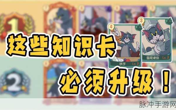 猫和老鼠手游知识卡搭配秘籍大公开