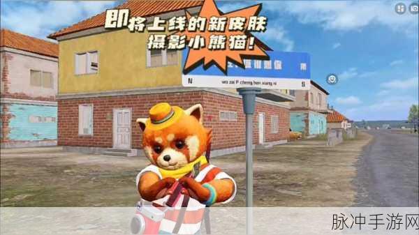 和平精英俏皮小熊猫价格全解析，珍稀装扮的获取之道
