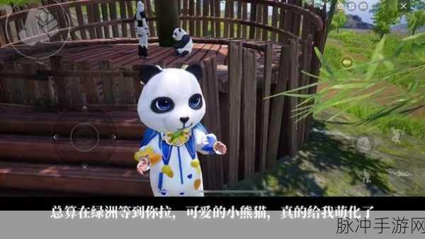 和平精英俏皮小熊猫价格全解析，珍稀装扮的获取之道