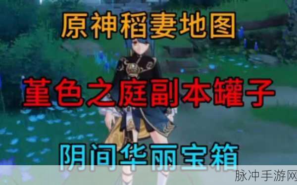 原神堇色之庭秘境四通关全攻略，深度解密与实战技巧分享