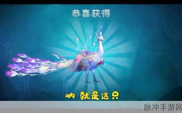 创造与魔法，揭秘白灵孔雀的卓越属性与养成攻略