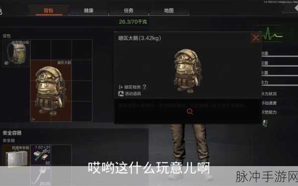 暗区突围大鹅位置全攻略，解锁高价值区域的秘密