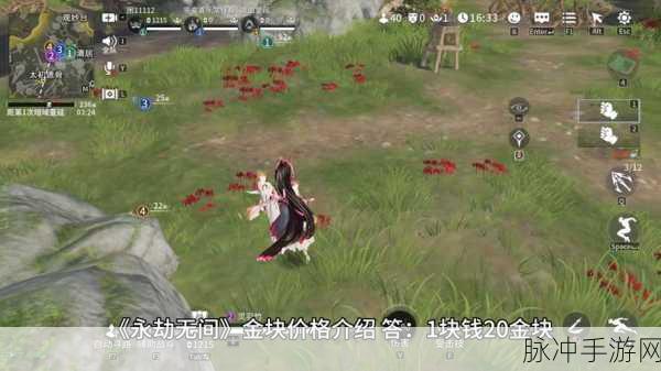 永劫无间手游金块全方位解析
