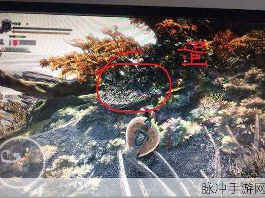 怪物猎人手游攻略，飞龙蛋位置全面解析