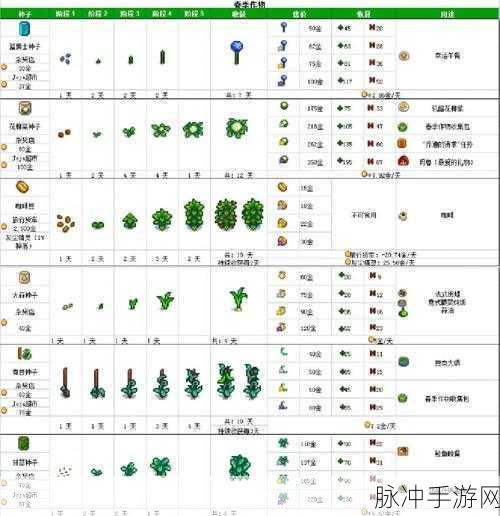 星露谷物语秋季展览会全攻略，玩转像素谷展览会