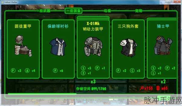 辐射避难所 PC 生存模式的全方位攻略指南