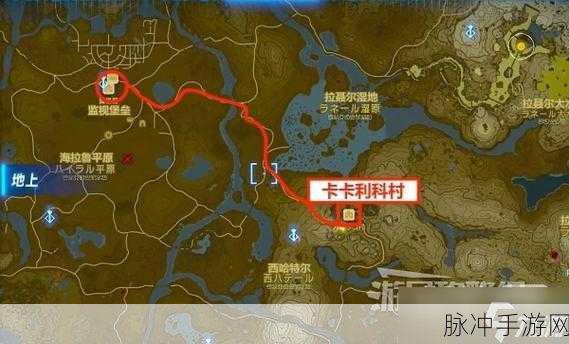 塞尔达传说王国之泪,酥麻蜻蜓位置全攻略
