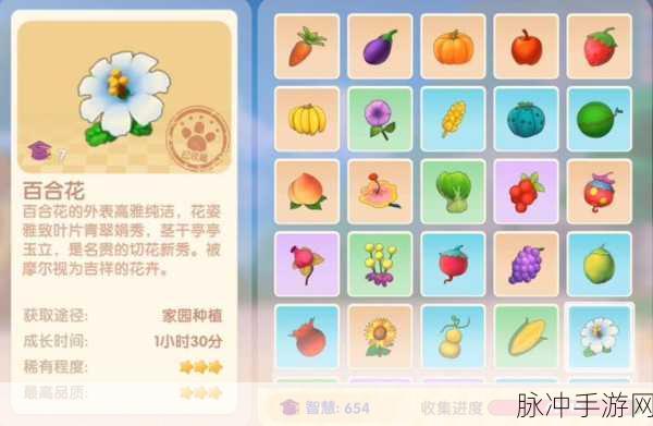 摩尔庄园手游，百合花种子获取全攻略