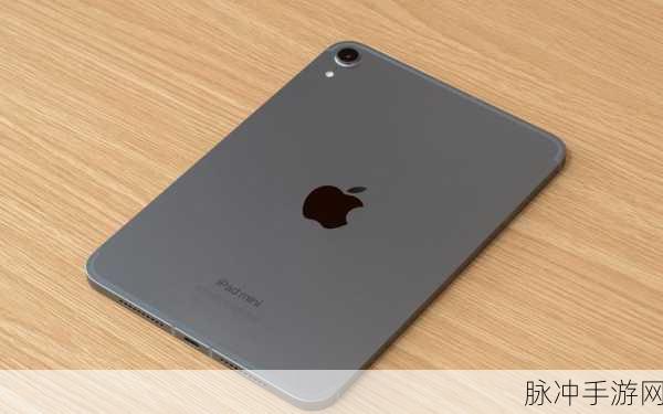 iPad手游玩家必看，全面攻略教你如何高效清理空间