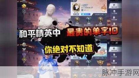 和平精英起名字艺术,酷炫好听的男孩游戏网名精选指南